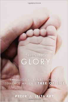 Shining Glory: Theological Reflections on Terrence Malicks Tree of Life