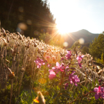 Not Fearing the Devil