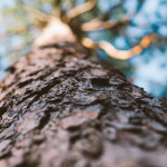 A Sabbath Conversation