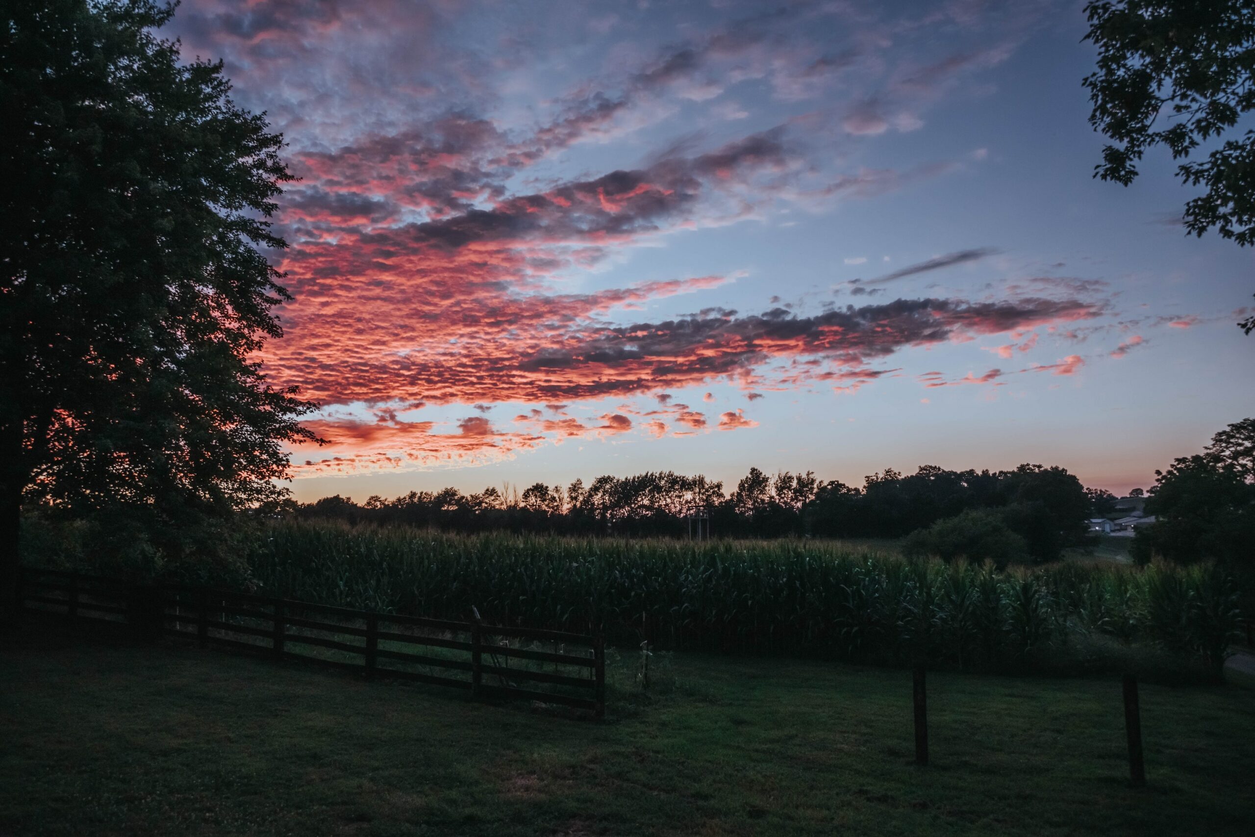 The Life, Death, and Resurrection of Jayber Crow A Review Theopolis